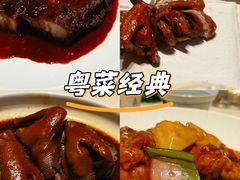 -侨美食家·40年地道粤菜(珠江新城店)