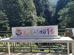 -苍山感通索道