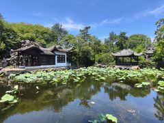 -无锡蠡湖国家湿地公园-蠡园