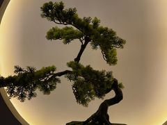 -席仁堂推拿按摩脊柱调理(世纪科贸大厦店)