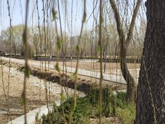 -大兴滨河森林公园