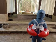 -春晖园度假酒店温泉