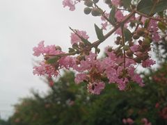 -老杨砂锅鱼庄