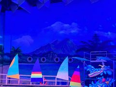-海合安武汉极地海洋公园