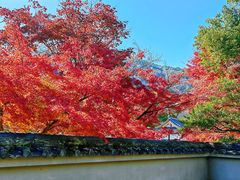 -天龙寺