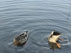 -吉林大学(前卫南区)