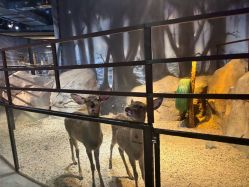 -酷嗒动物文化乐园(cutezoo西溪乐天城店)