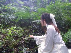 -飞霞风景名胜区