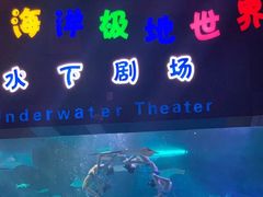 -泉城欧乐堡海洋极地世界