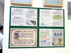 -爱妮康宠物医院·干细胞免疫细胞·肿瘤·心脏(张江店)