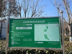 -春花秋色城市公园