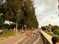 -宝安西湾红树林湿地公园