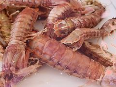 -渔民船说·北塘海鲜·天津菜·海肠捞饭(北塘古镇店)