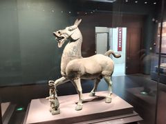 -广西壮族自治区博物馆