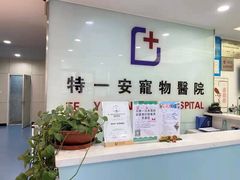 -特一安24小时宠物医院·骨科·中兽医