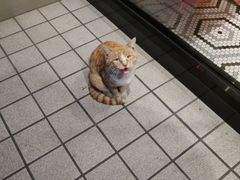 -必胜客(新福地店)