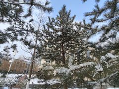 -北京国家会计学院