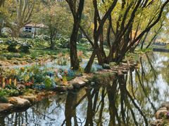 -上海共青森林公园