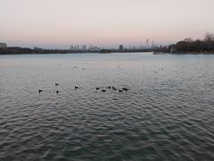 -济南大明湖景区