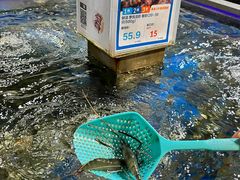 -盒马鲜生(帝斯曼店)