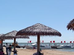 -红碱淖景区