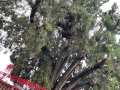 -四门塔风景区