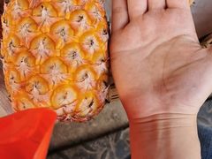 -红星农博物流中心
