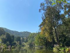 -深圳仙湖植物园