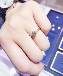 -钻石小鸟钻戒婚戒定制(石路店)