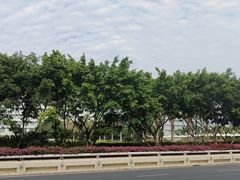 -广州白云国际机场-T2航站楼
