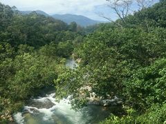 -海南热带雨林国家公园吊罗山景区