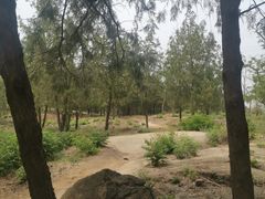 -白水寺森林公园