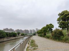 -新江湾城公园