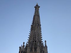 -斯蒂芬主教座堂(Stephansdom)