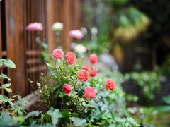 -丽江花间堂·隐泉院