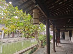 -黎里古镇