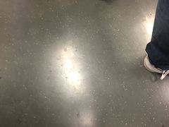 -上海动物园(地铁站)