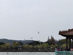 -无锡蠡湖国家湿地公园-蠡园