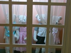 -济州岛泰迪熊博物馆