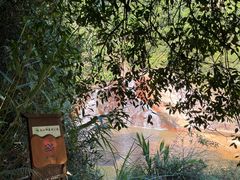 -广州白江湖森林公园