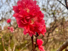 -广东花都湖国家湿地公园