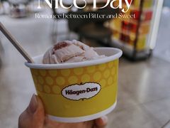 -哈根达斯(青岛海信店)