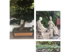 -十八棵（老龙井）御茶园(老龙井店)