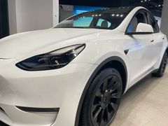 -TESLA 特斯拉(上海太古汇体验店)