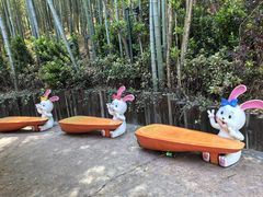 -天目湖山水园