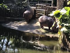 -深圳野生动物园