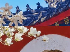 -北京艺术博物馆(万寿寺)