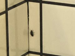 -八两八金·莱芜特色炒鸡(市南漳浦路店)