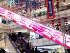 -高新活力汇Vitality