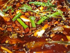 -小饕荟雅安贡椒鱼鲜馆(广福桥店)